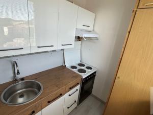 Pronájem bytu 1+1, Ústí nad Labem - Severní Terasa, Šrámkova, 33 m2