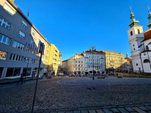 Pronájem bytu 1+kk, Brno, Dominikánské náměstí, 20 m2