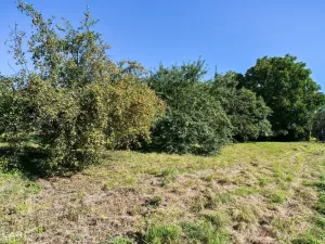 Prodej rodinného domu, Starý Jičín - Jičina, 120 m2