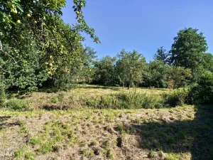 Prodej rodinného domu, Starý Jičín - Jičina, 120 m2