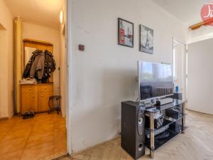Pronájem bytu 1+1, Ostrava, Svojsíkova, 27 m2