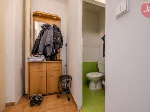 Pronájem bytu 1+1, Ostrava, Svojsíkova, 27 m2