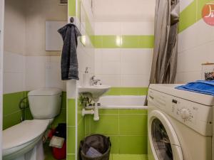 Pronájem bytu 1+1, Ostrava, Svojsíkova, 27 m2