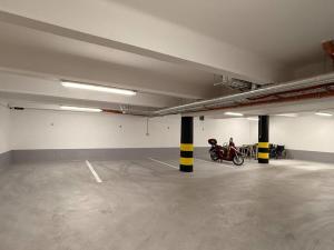 Pronájem bytu 2+1, Praha - Vinohrady, Londýnská, 93 m2