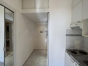 Pronájem bytu 1+kk, Praha - Holešovice, U smaltovny, 26 m2
