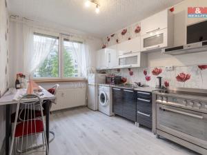 Prodej bytu 3+1, Český Těšín, Mládežnická, 61 m2