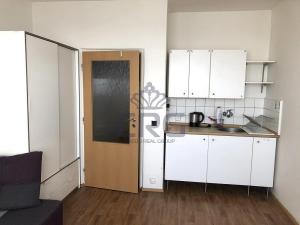 Pronájem bytu 1+kk, Brno - Lesná, Halasovo náměstí, 21 m2