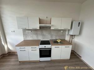 Pronájem bytu 1+kk, Mlékojedy, 35 m2