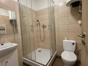 Pronájem bytu 1+kk, Mlékojedy, 35 m2