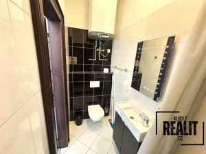 Pronájem bytu 1+kk, Praha - Žižkov, Seifertova, 34 m2