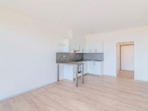 Pronájem bytu 1+kk, Olomouc - Řepčín, Aloise Rašína, 35 m2