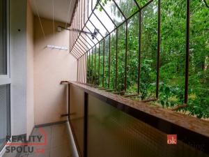 Prodej bytu 2+1, Plzeň - Doubravka, Ke Špitálskému lesu, 58 m2