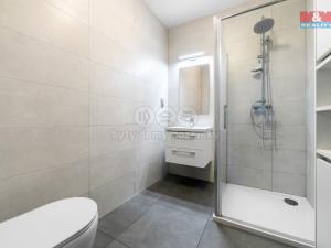 Prodej bytu 1+kk, Plzeň - Severní Předměstí, alej Svobody, 47 m2