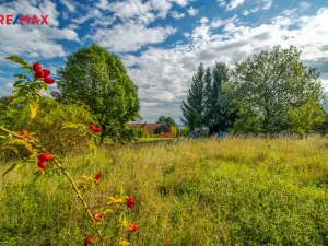 Prodej pozemku pro bydlení, Bačalky, 2594 m2