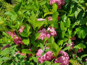 Prodej zahrady, Moravský Krumlov, 756 m2