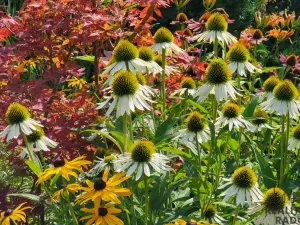 Prodej zahrady, Moravský Krumlov, 756 m2