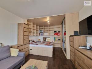Prodej bytu 2+kk, Plzeň - Jižní Předměstí, Čermákova, 43 m2