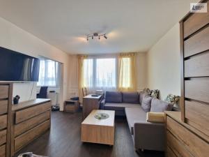 Prodej bytu 2+kk, Plzeň - Jižní Předměstí, Čermákova, 43 m2