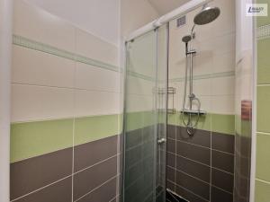 Prodej bytu 2+kk, Plzeň - Jižní Předměstí, Čermákova, 43 m2