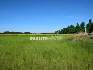 Prodej pozemku pro bydlení, Zlatá, 900 m2