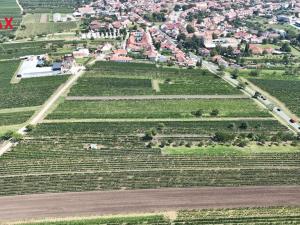 Prodej pozemku, Rakvice, 1941 m2