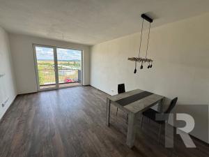 Pronájem bytu 2+kk, Plzeň, Srncová, 52 m2