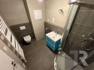 Pronájem bytu 2+kk, Plzeň, Srncová, 52 m2