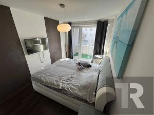 Pronájem bytu 2+kk, Plzeň, Vltavínová, 60 m2