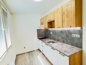 Pronájem bytu 1+1, Hradec Králové, 33 m2