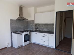 Prodej bytu 1+1, Ústí nad Labem - Střekov, Tolstého, 45 m2