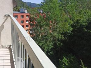 Prodej bytu 1+1, Ústí nad Labem - Střekov, Tolstého, 45 m2