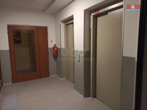 Prodej bytu 1+1, Ústí nad Labem - Střekov, Tolstého, 45 m2