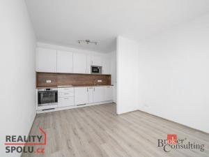 Pronájem bytu 1+kk, Slaný, Prokopa Holého, 26 m2
