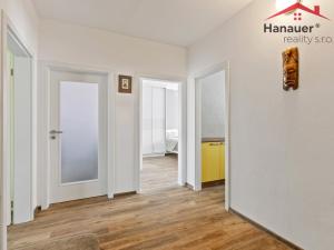 Prodej bytu 3+1, Ústí nad Labem - Krásné Březno, U Pivovarské zahrady, 87 m2