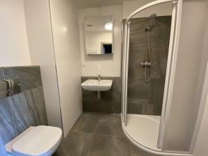 Pronájem bytu 2+kk, České Budějovice - České Budějovice 2, Na Zlaté stoce, 46 m2