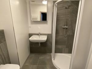 Pronájem bytu 2+kk, České Budějovice - České Budějovice 2, Na Zlaté stoce, 46 m2