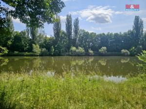 Prodej louky, Hradec Králové, 5500 m2