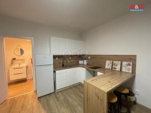 Pronájem bytu 1+kk, Ostrava - Nová Ves, Na Lánech, 30 m2