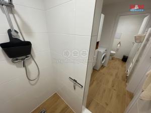 Pronájem bytu 1+kk, Ostrava - Nová Ves, Na Lánech, 30 m2