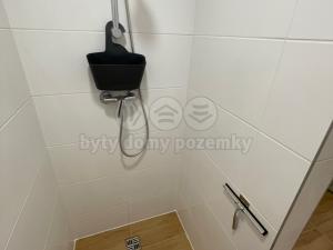 Pronájem bytu 1+kk, Ostrava - Nová Ves, Na Lánech, 30 m2