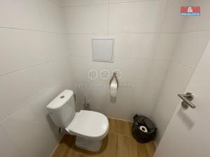 Pronájem bytu 1+kk, Ostrava - Nová Ves, Na Lánech, 30 m2