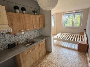 Prodej bytu 1+kk, Teplice, Prosetická, 33 m2