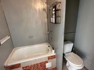Prodej bytu 1+kk, Teplice, Prosetická, 33 m2