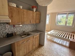 Prodej bytu 1+kk, Teplice, Prosetická, 33 m2