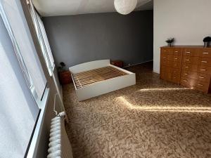 Prodej bytu 1+kk, Teplice, Prosetická, 33 m2