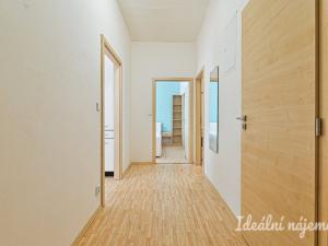 Pronájem bytu 2+kk, Brno, Kartouzská, 44 m2