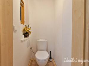 Pronájem bytu 2+kk, Brno, Kartouzská, 44 m2