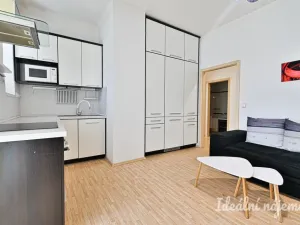 Pronájem bytu 2+kk, Brno, Kartouzská, 44 m2