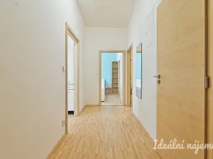 Pronájem bytu 2+kk, Brno, Kartouzská, 44 m2
