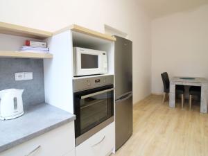 Pronájem bytu 1+1, Olomouc, Univerzitní, 46 m2